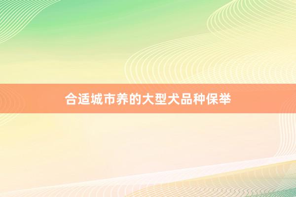 合适城市养的大型犬品种保举